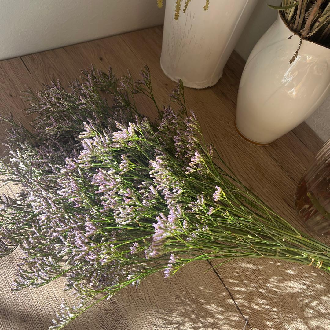 ❁⃘*.゜HBリモニューム スカイライト