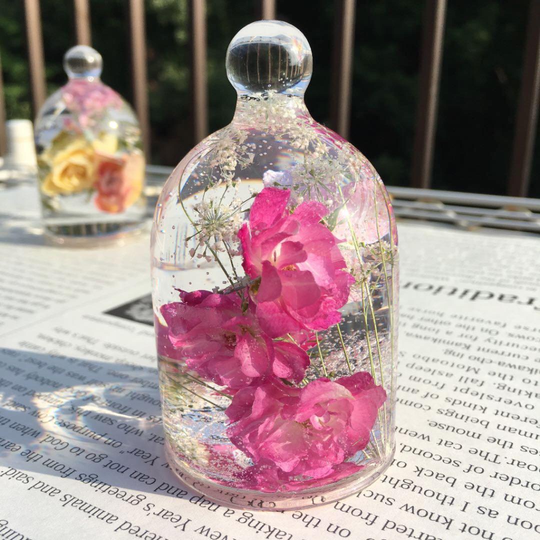 4-135 固まるハーバリウムドームミニバラピンク