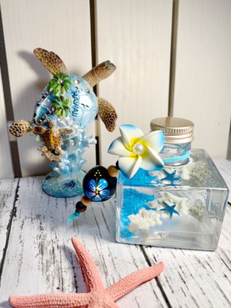 浜辺のハーバリウム